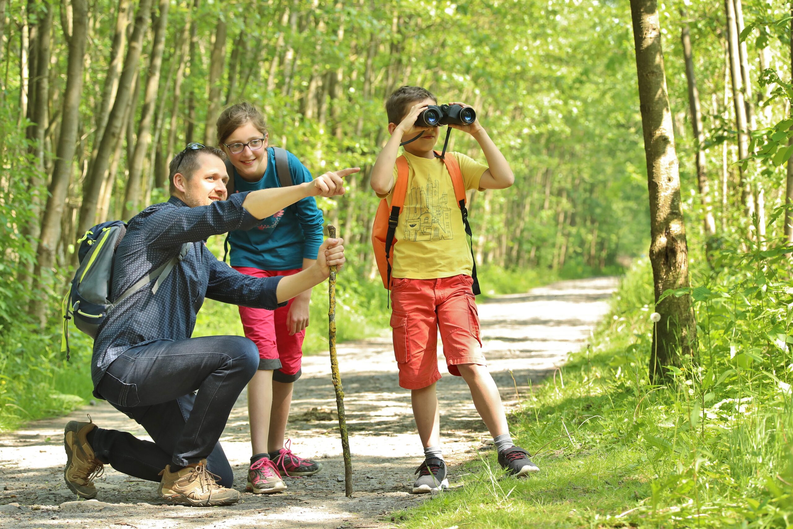 Promenade en famille au bois des 5 tailles à Thumeries. une belle idée de sortie pour cet été dans les Hauts-de-France