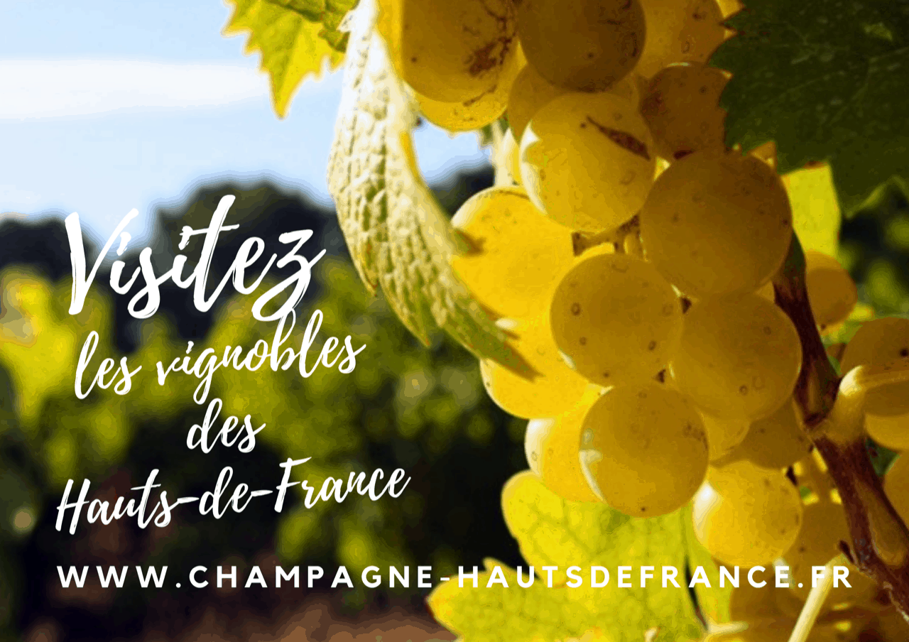 Découvrez le champagne des Hauts-de-France pendant vos vacances et déguster des produits locaux